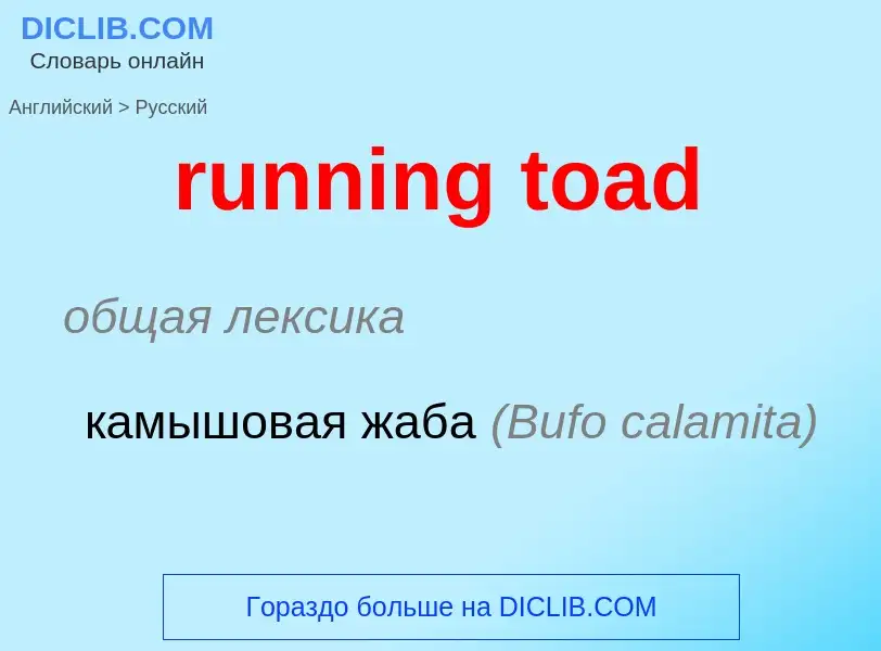 Как переводится running toad на Русский язык