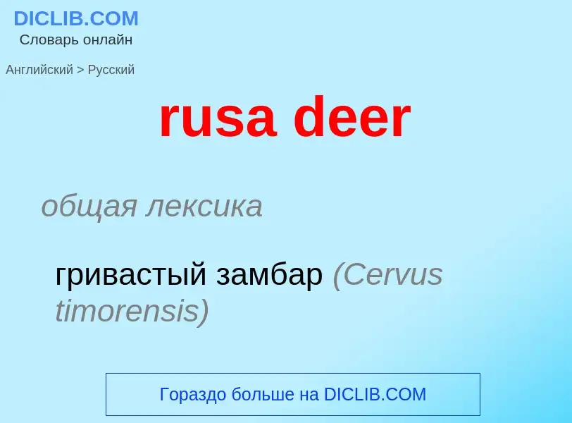 Как переводится rusa deer на Русский язык