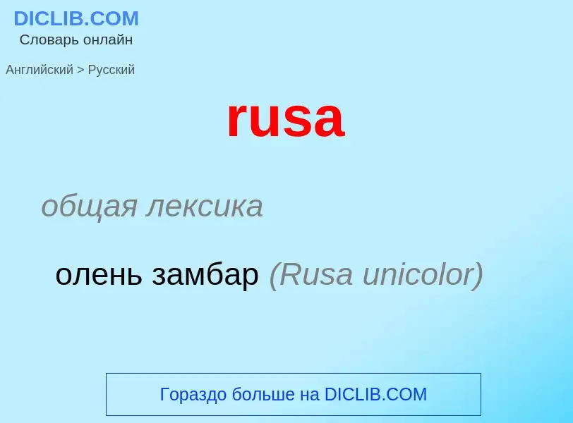 Как переводится rusa на Русский язык