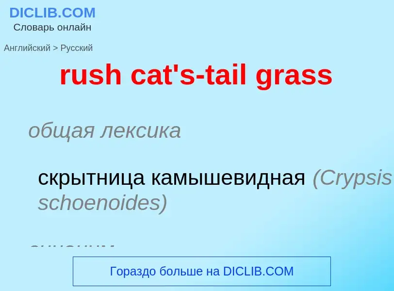 Как переводится rush cat's-tail grass на Русский язык