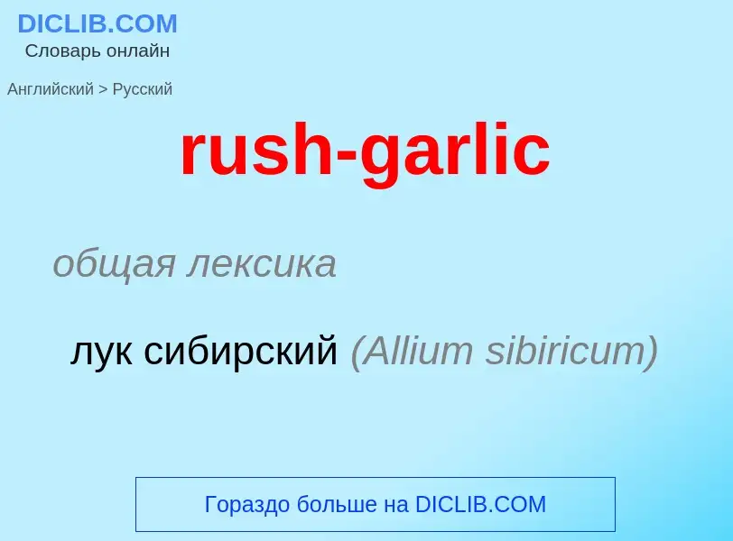 Μετάφραση του &#39rush-garlic&#39 σε Ρωσικά