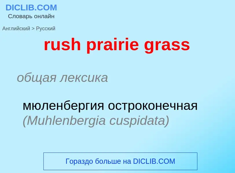 Как переводится rush prairie grass на Русский язык