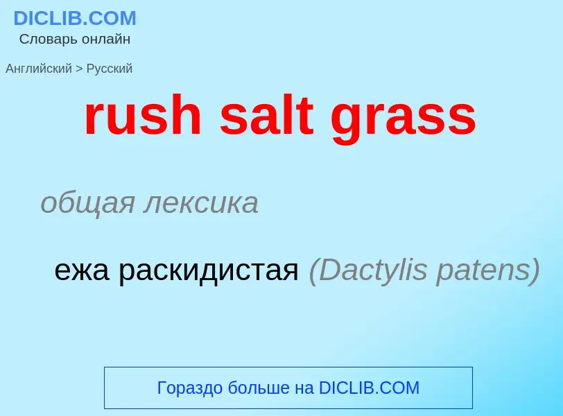 Μετάφραση του &#39rush salt grass&#39 σε Ρωσικά