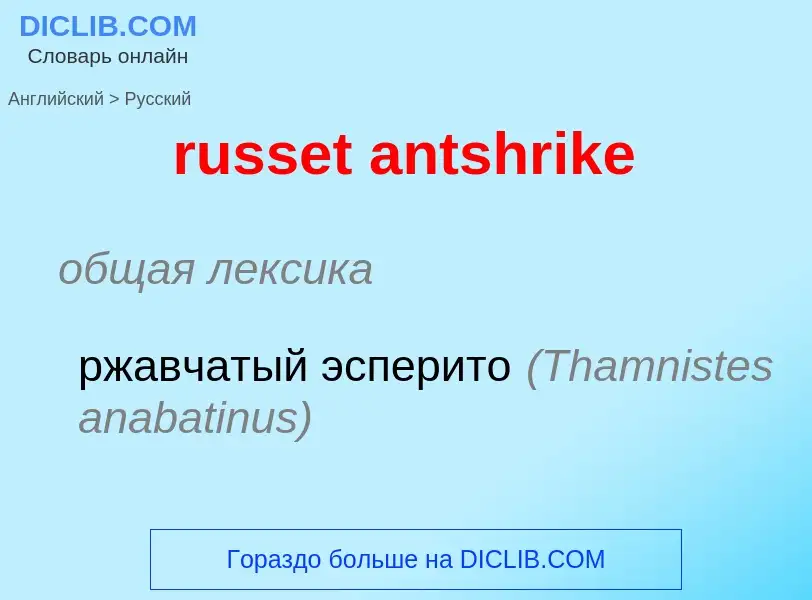 Как переводится russet antshrike на Русский язык