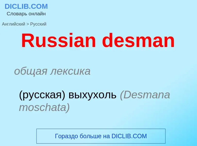 ¿Cómo se dice Russian desman en Ruso? Traducción de &#39Russian desman&#39 al Ruso