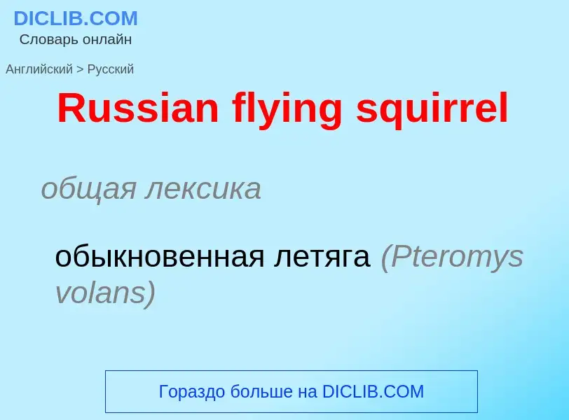 ¿Cómo se dice Russian flying squirrel en Ruso? Traducción de &#39Russian flying squirrel&#39 al Ruso