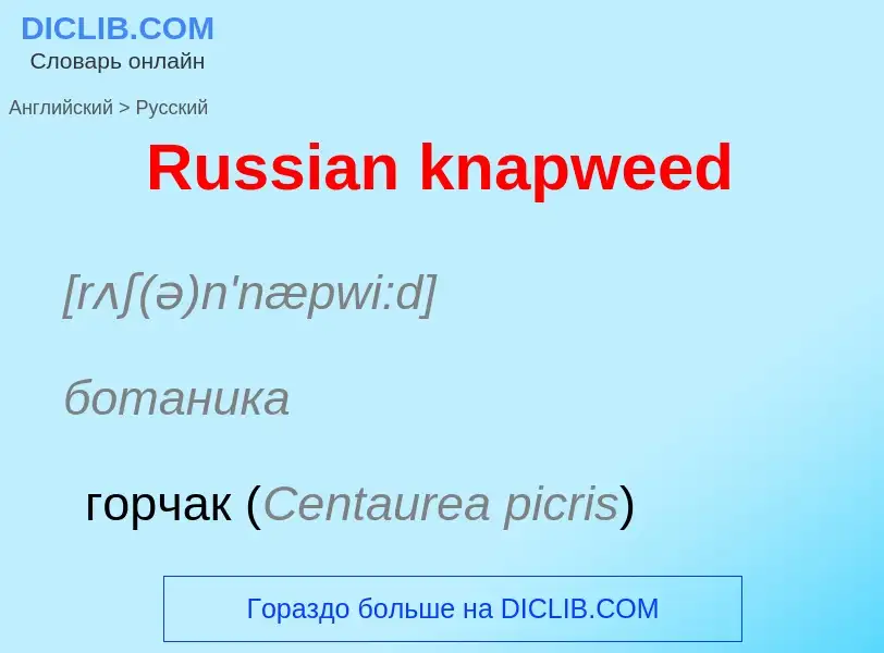 ¿Cómo se dice Russian knapweed en Ruso? Traducción de &#39Russian knapweed&#39 al Ruso