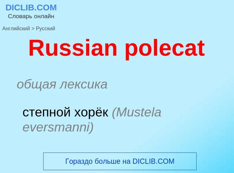 ¿Cómo se dice Russian polecat en Ruso? Traducción de &#39Russian polecat&#39 al Ruso