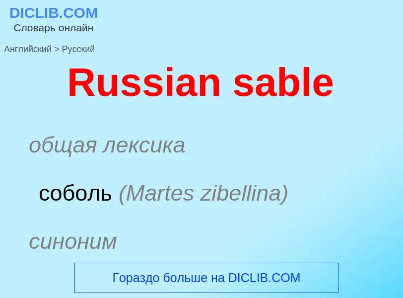 ¿Cómo se dice Russian sable en Ruso? Traducción de &#39Russian sable&#39 al Ruso