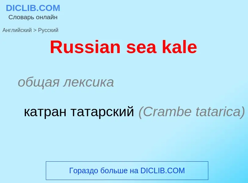 ¿Cómo se dice Russian sea kale en Ruso? Traducción de &#39Russian sea kale&#39 al Ruso