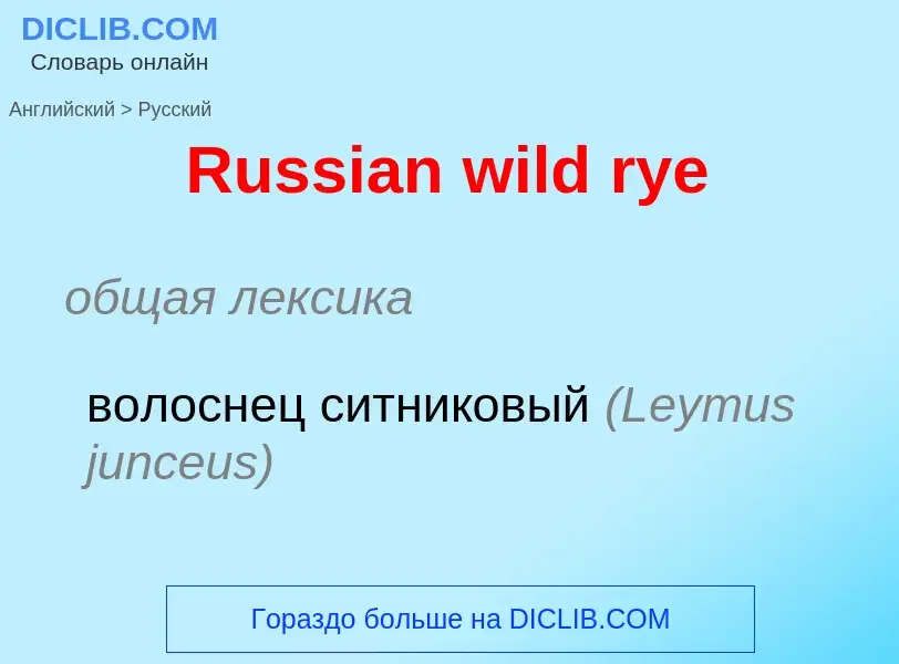 Vertaling van &#39Russian wild rye&#39 naar Russisch