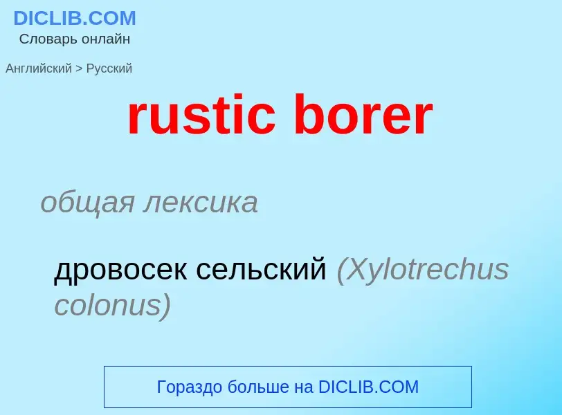 Как переводится rustic borer на Русский язык