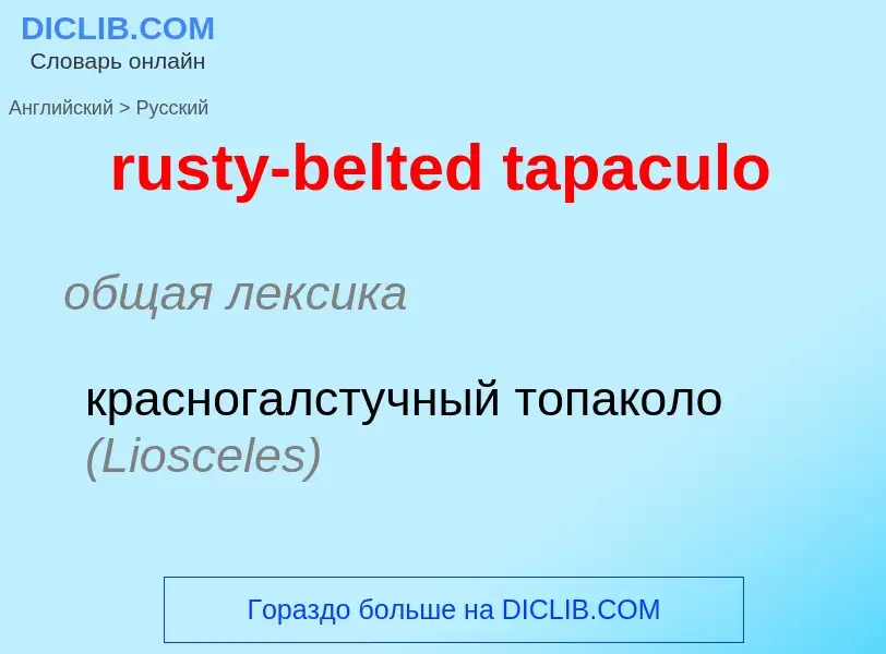 Как переводится rusty-belted tapaculo на Русский язык