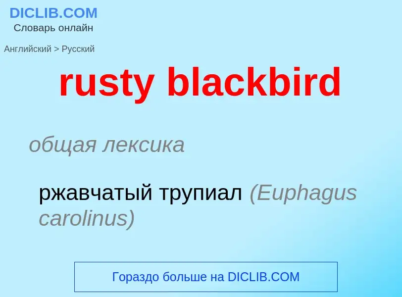 Μετάφραση του &#39rusty blackbird&#39 σε Ρωσικά