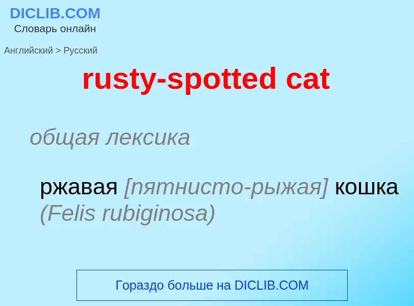 Как переводится rusty-spotted cat на Русский язык