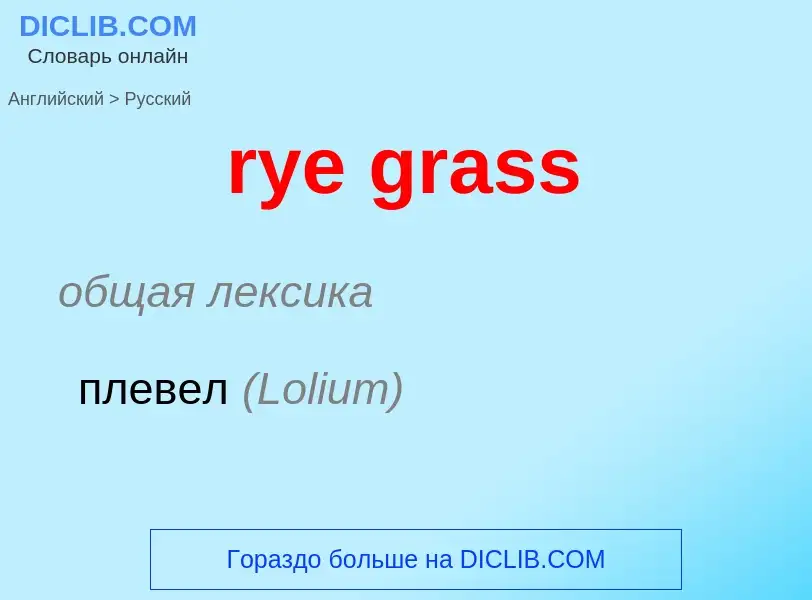 What is the Russian for rye grass? Translation of &#39rye grass&#39 to Russian