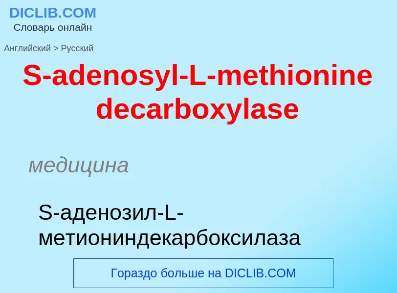 Traduzione di &#39S-adenosyl-L-methionine decarboxylase&#39 in Russo