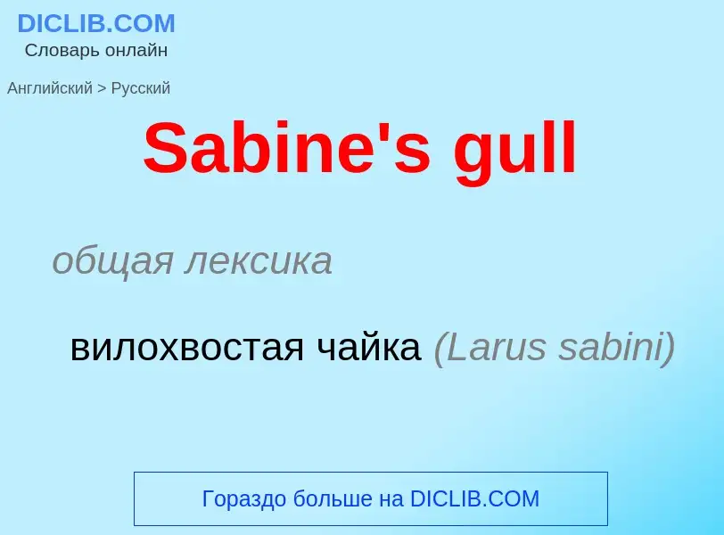 ¿Cómo se dice Sabine's gull en Ruso? Traducción de &#39Sabine's gull&#39 al Ruso