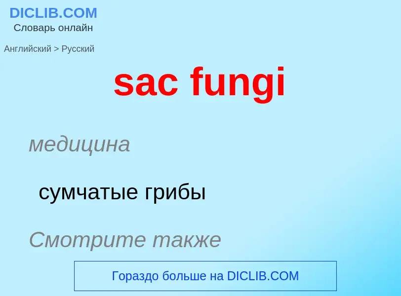 Μετάφραση του &#39sac fungi&#39 σε Ρωσικά