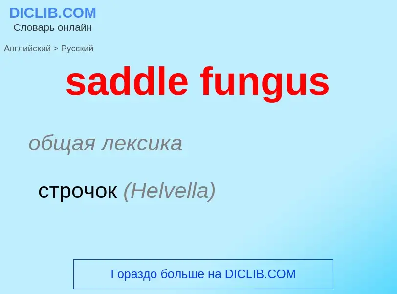 Μετάφραση του &#39saddle fungus&#39 σε Ρωσικά