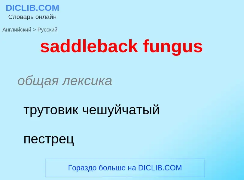 Μετάφραση του &#39saddleback fungus&#39 σε Ρωσικά