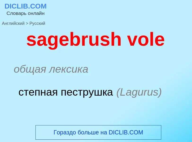 ¿Cómo se dice sagebrush vole en Ruso? Traducción de &#39sagebrush vole&#39 al Ruso