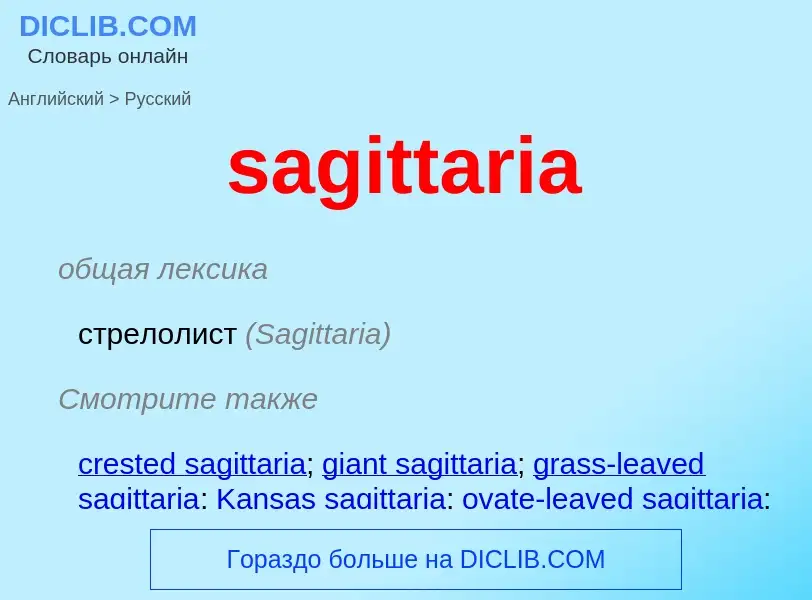 ¿Cómo se dice sagittaria en Ruso? Traducción de &#39sagittaria&#39 al Ruso