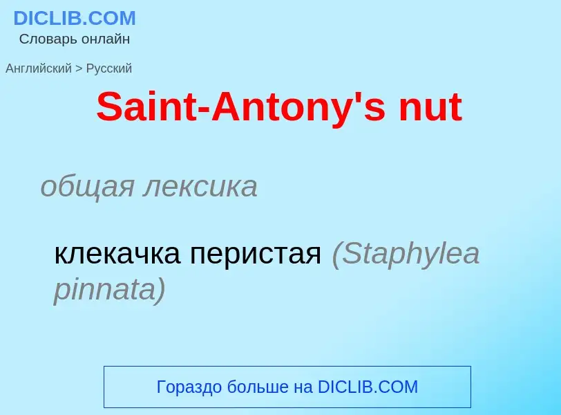 ¿Cómo se dice Saint-Antony's nut en Ruso? Traducción de &#39Saint-Antony's nut&#39 al Ruso