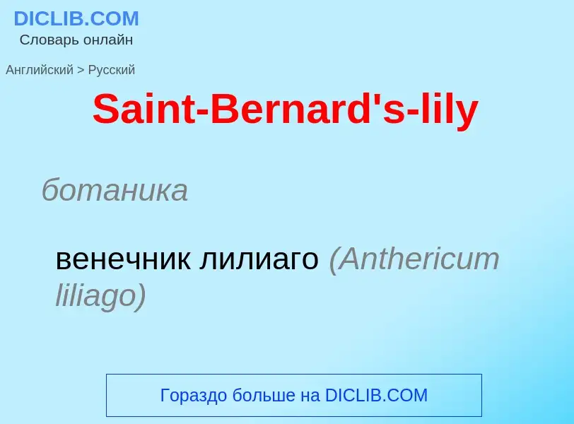 Как переводится Saint-Bernard's-lily на Русский язык