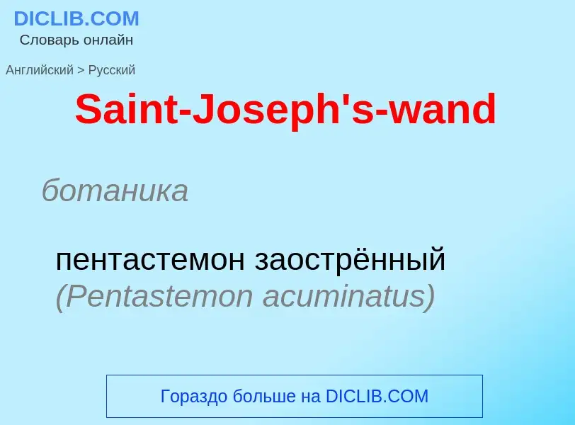 ¿Cómo se dice Saint-Joseph's-wand en Ruso? Traducción de &#39Saint-Joseph's-wand&#39 al Ruso