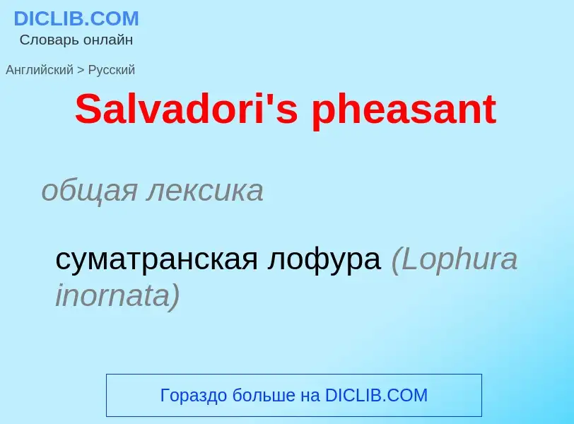 ¿Cómo se dice Salvadori's pheasant en Ruso? Traducción de &#39Salvadori's pheasant&#39 al Ruso