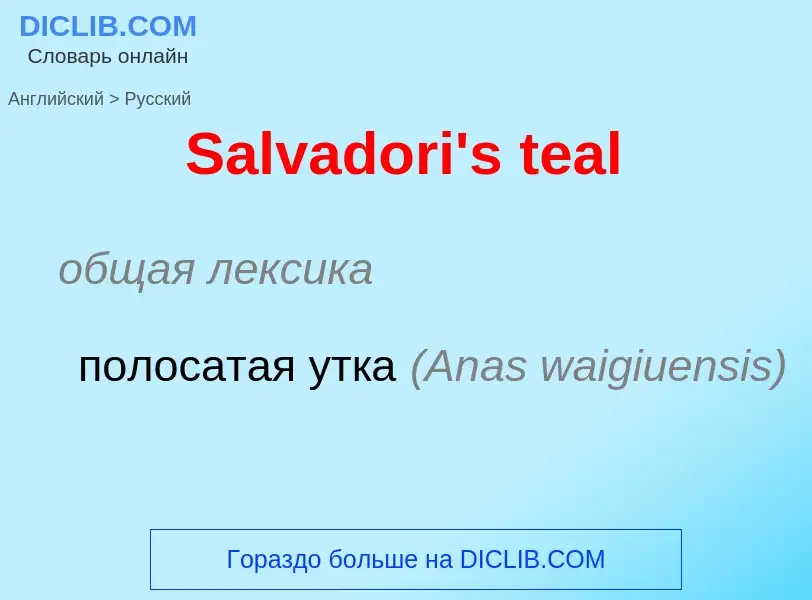 ¿Cómo se dice Salvadori's teal en Ruso? Traducción de &#39Salvadori's teal&#39 al Ruso