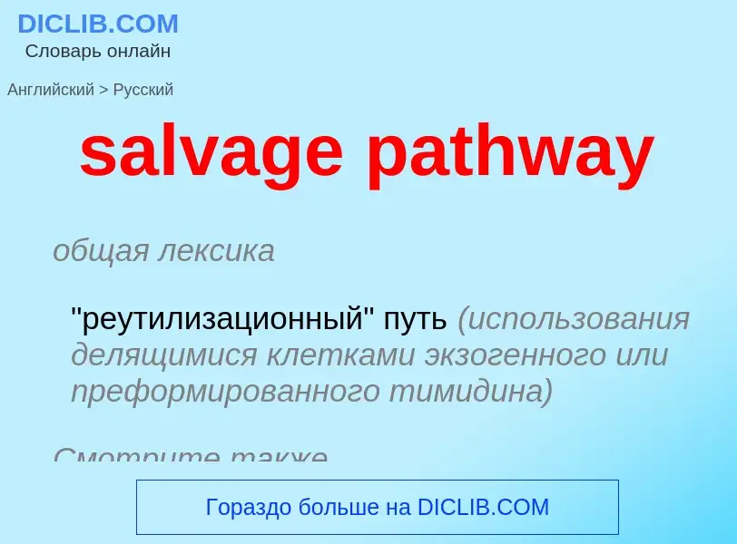 Как переводится salvage pathway на Русский язык