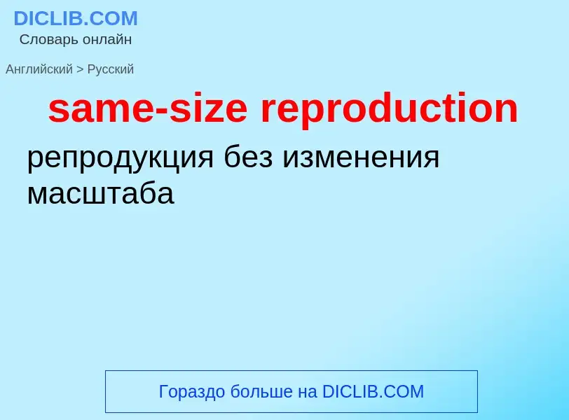 Как переводится same-size reproduction на Русский язык