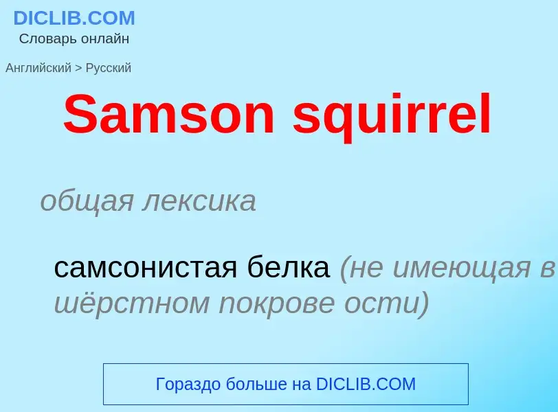 Как переводится Samson squirrel на Русский язык