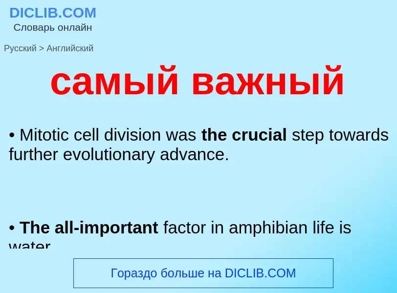 Traduzione di &#39самый важный&#39 in Inglese