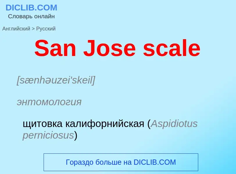 Как переводится San Jose scale на Русский язык