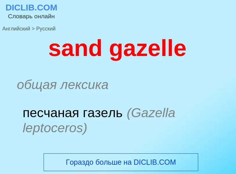 What is the Russian for sand gazelle? Translation of &#39sand gazelle&#39 to Russian