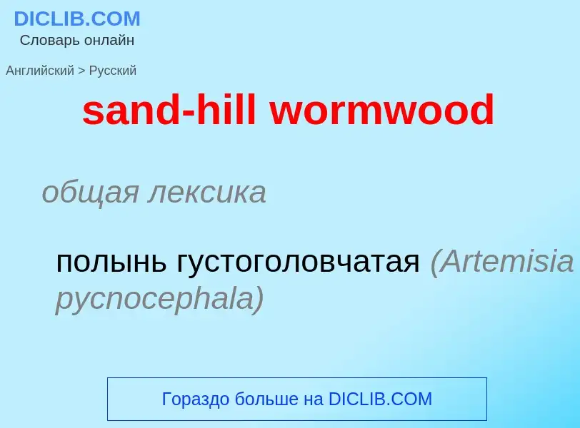 Μετάφραση του &#39sand-hill wormwood&#39 σε Ρωσικά