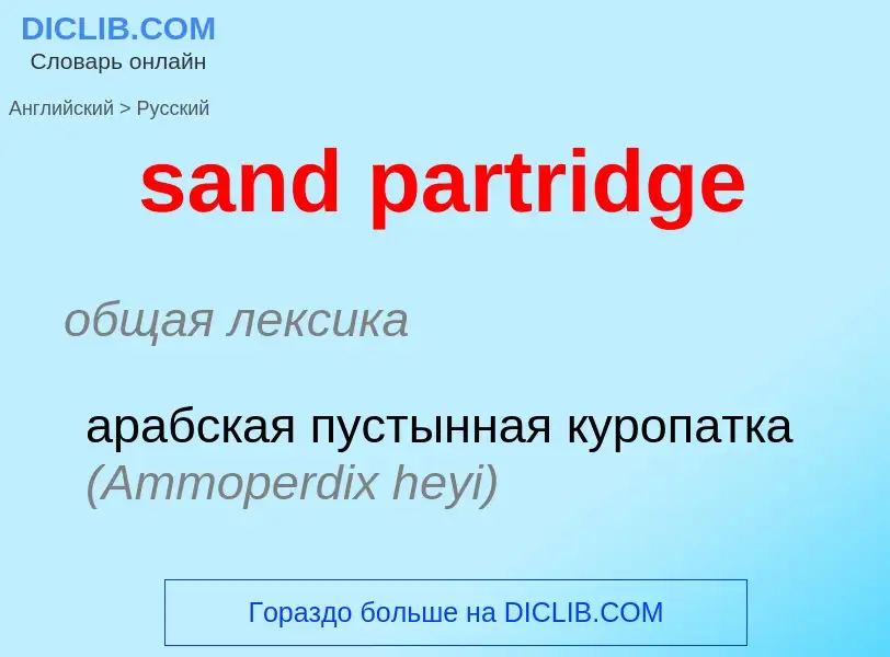 Как переводится sand partridge на Русский язык