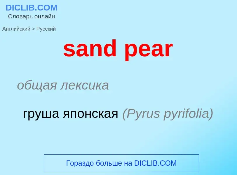 Как переводится sand pear на Русский язык