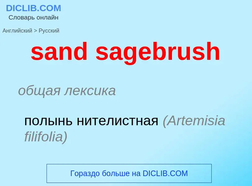 ¿Cómo se dice sand sagebrush en Ruso? Traducción de &#39sand sagebrush&#39 al Ruso