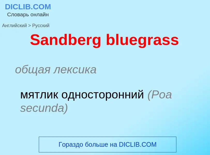 Как переводится Sandberg bluegrass на Русский язык