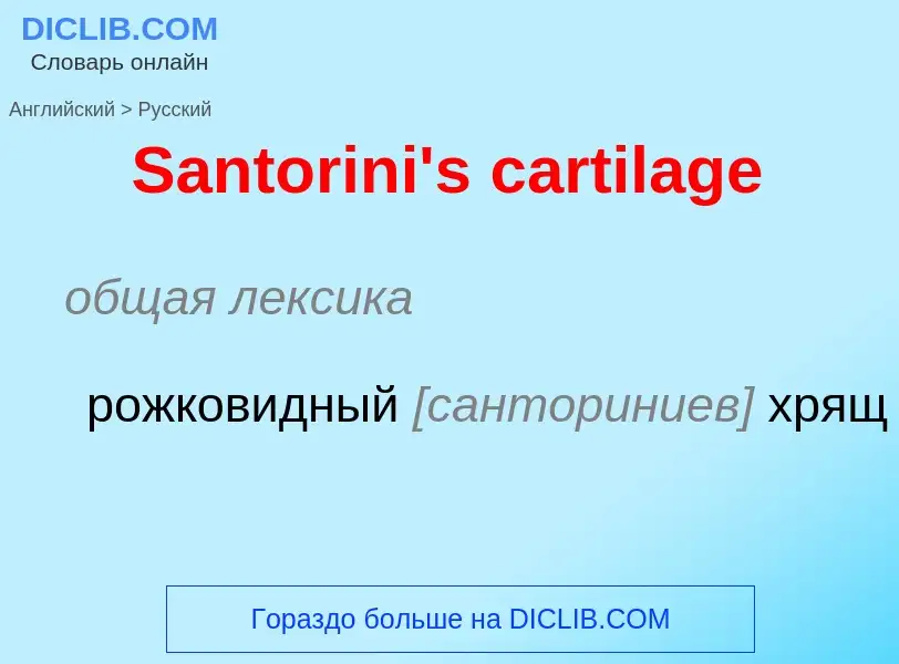 Как переводится Santorini's cartilage на Русский язык