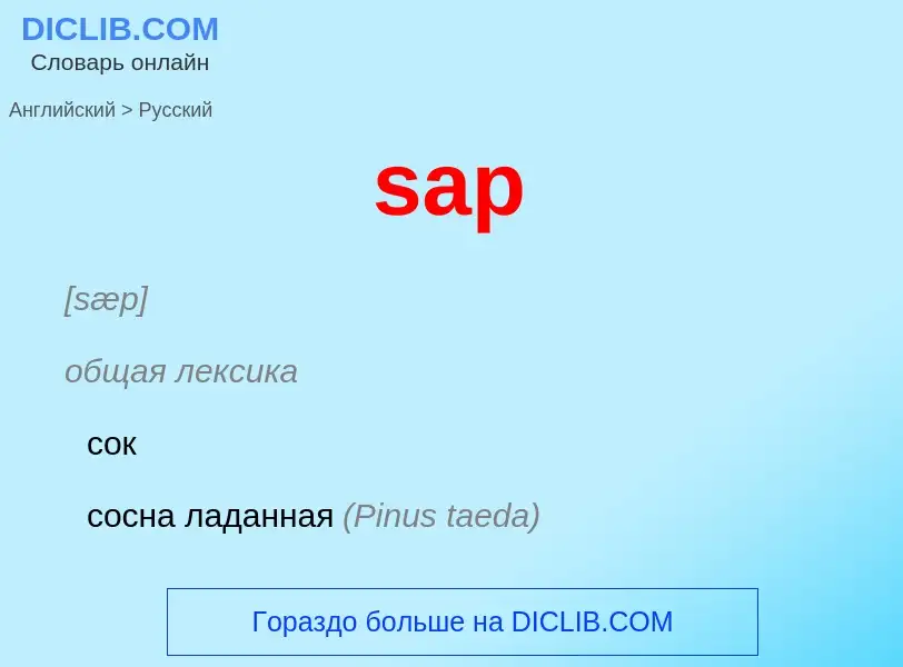 Como se diz sap em Russo? Tradução de &#39sap&#39 em Russo