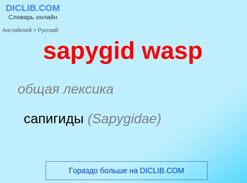 What is the Russian for sapygid wasp? Translation of &#39sapygid wasp&#39 to Russian