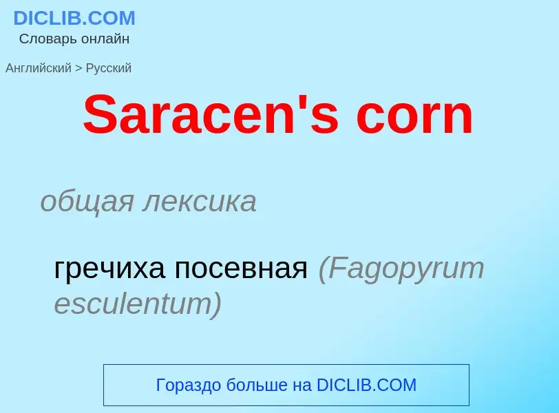 Как переводится Saracen's corn на Русский язык