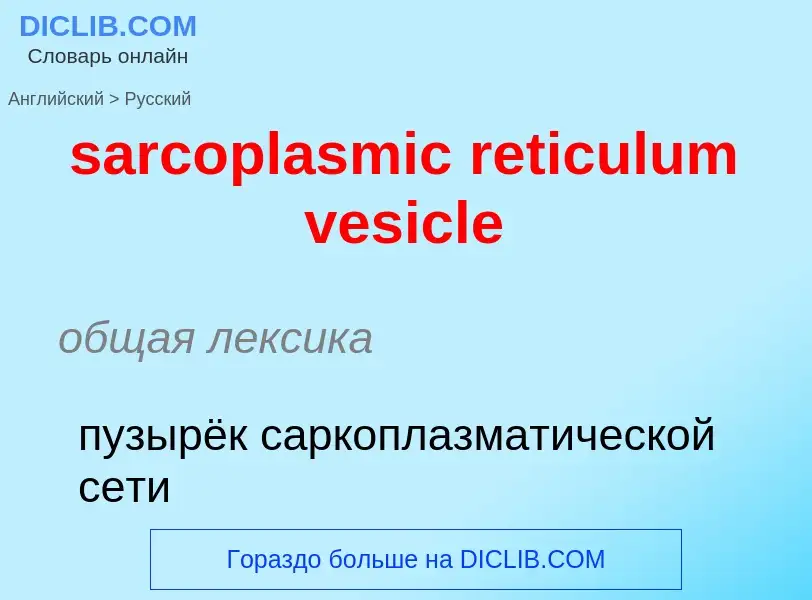 Übersetzung von &#39sarcoplasmic reticulum vesicle&#39 in Russisch