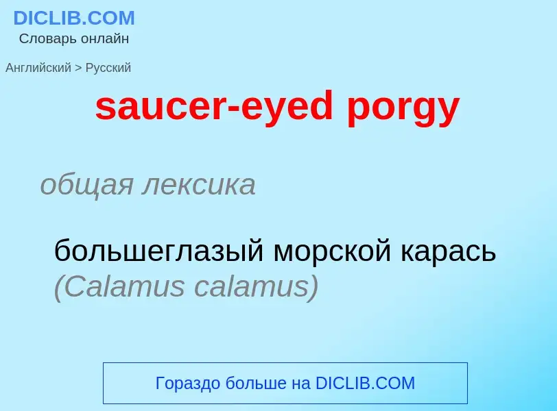 Como se diz saucer-eyed porgy em Russo? Tradução de &#39saucer-eyed porgy&#39 em Russo