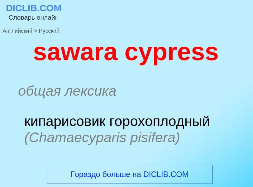 Как переводится sawara cypress на Русский язык